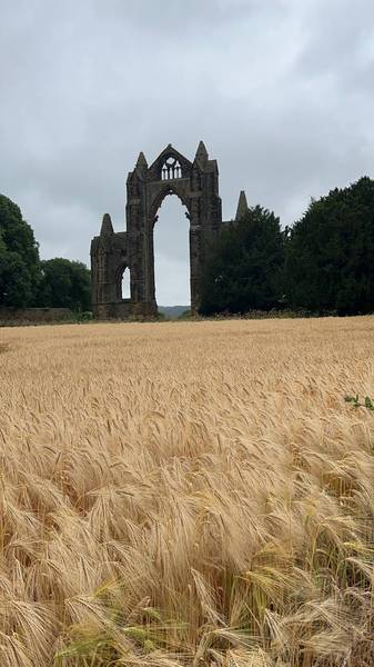 Preview of Guisborough Priory to forest