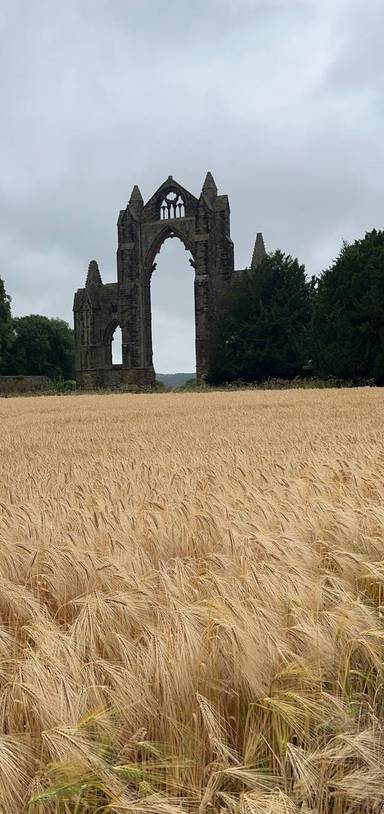 Preview of Guisborough Priory to forest