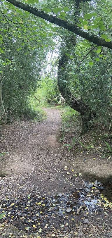 Preview of Pinhoe Church and Pin Brook Valley 