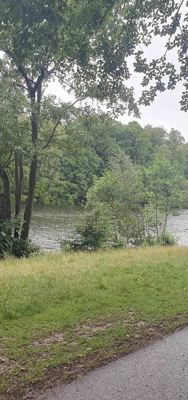 Preview of A Walk in Windsor Great Park