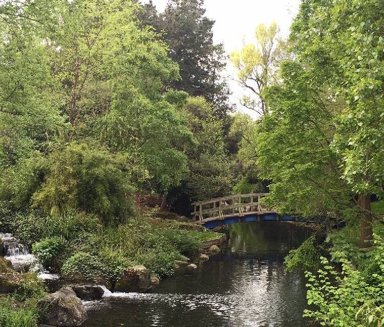 Preview of Amazing Regent's Park