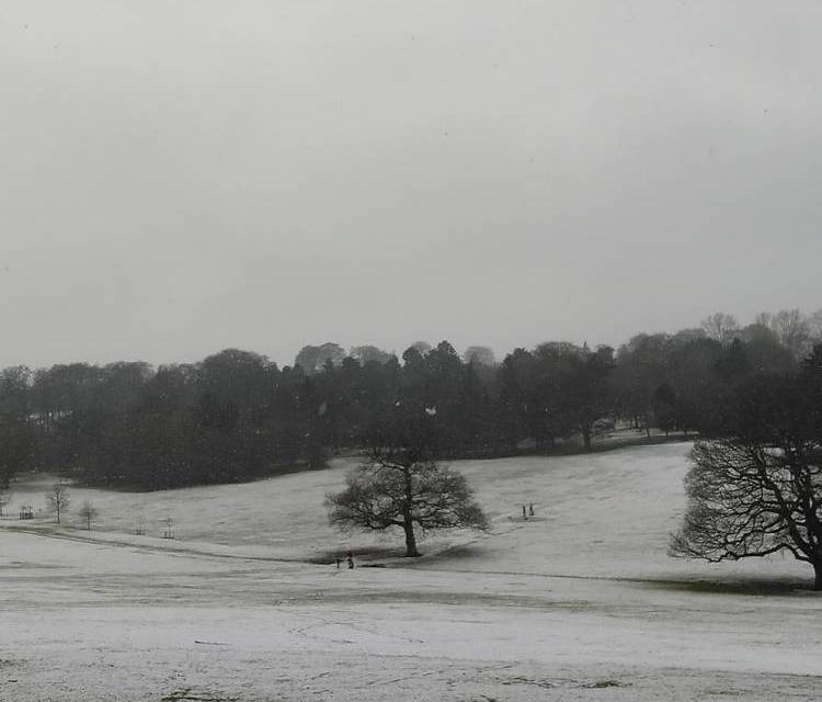 Preview of Warley Woods Outer Circle