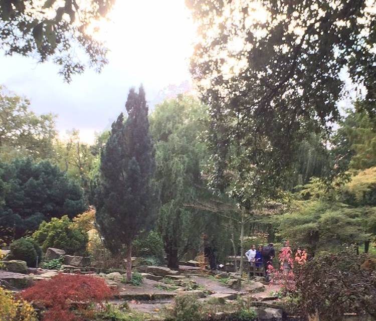 Preview of Regent's Park to Primrose Hill