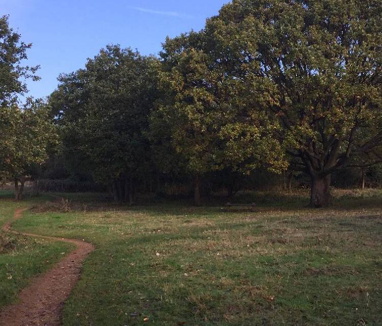 Preview of Capital Ring Section 9
