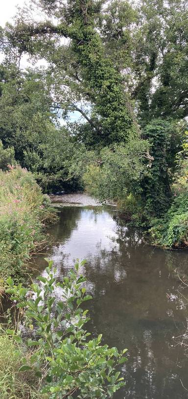 Preview of Umborne Brooke loop