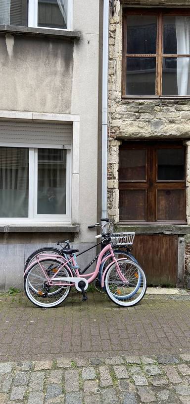 Preview of An Urban Planner’s Tour of Antwerp