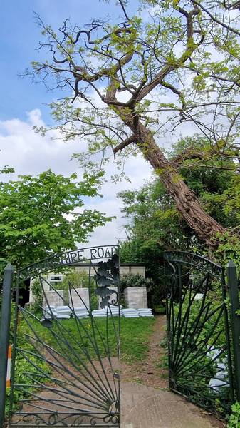 Preview of Forest Hill Nature Reserves