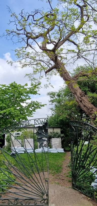 Preview of Forest Hill Nature Reserves