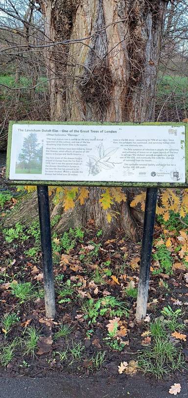 Preview of Lewisham Station to Catford Bridge