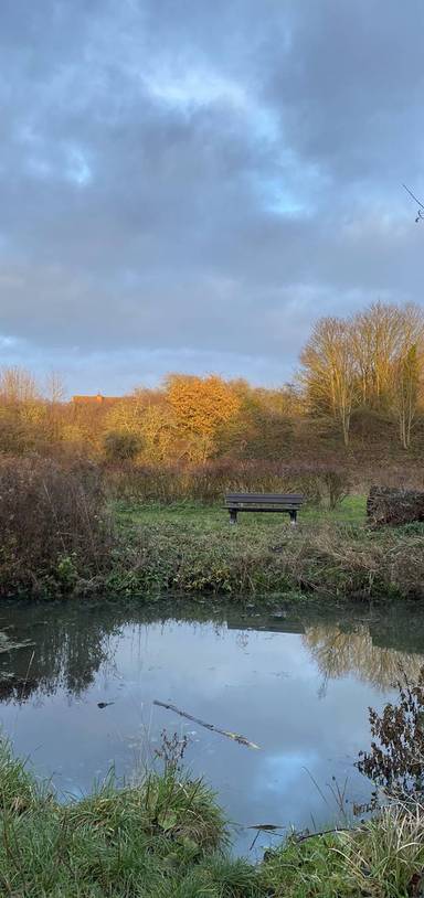 Preview of Nature Hunt in Halesworth Town Park