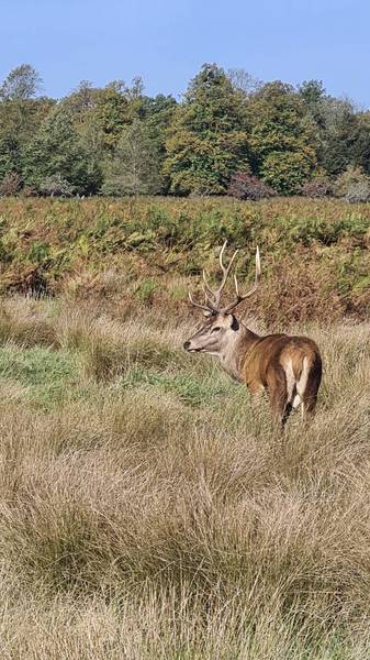 Preview of London Loop Section 9