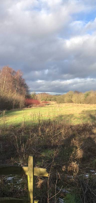Preview of In and around Walsall arboretum