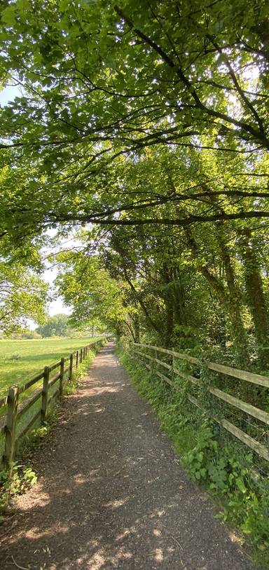 Preview of The Alphin Brook Walk