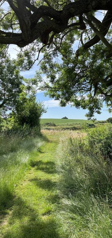Preview of Deddington Clifton Loop