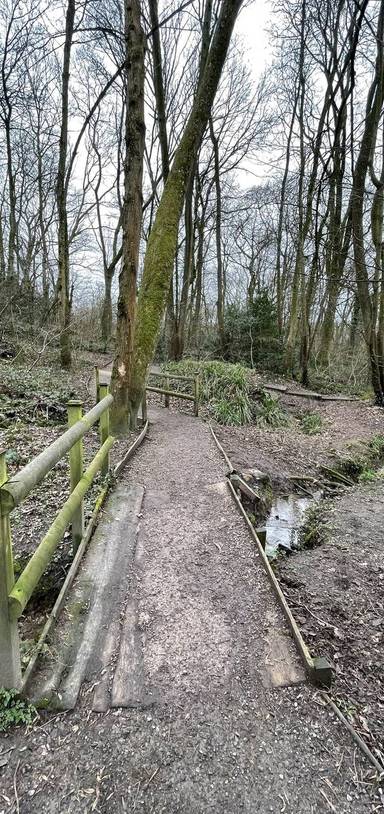 Preview of Silver Street Nature Reserve