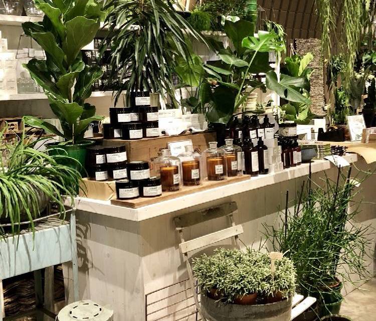 Preview of Dandy Deptford & Market Yard Fun 😍