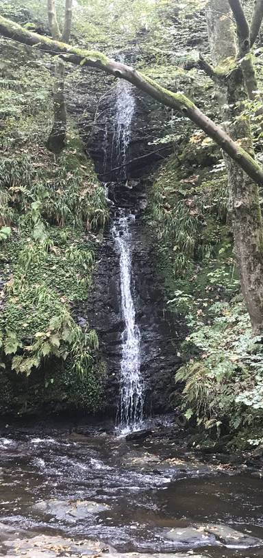 Preview of Tockholes