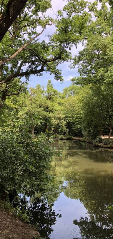 Preview of Highams Park Strolling