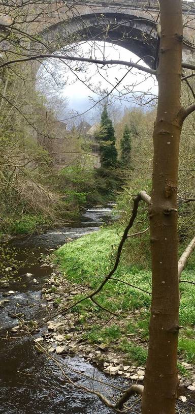Preview of Water of Leith from Dean Village
