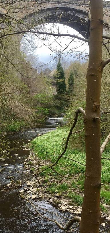 Preview of Water of Leith from Dean Village 