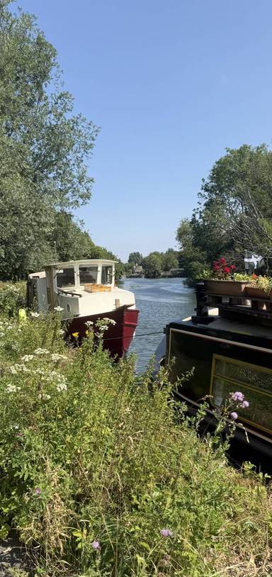 Preview of Radley to Oxford Thames Path