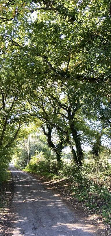 Preview of Twyford Countryside Adventure-Long