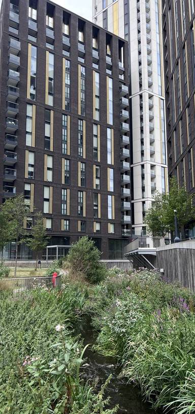 Preview of CommUNITY Wellbeing Walk - Route 1