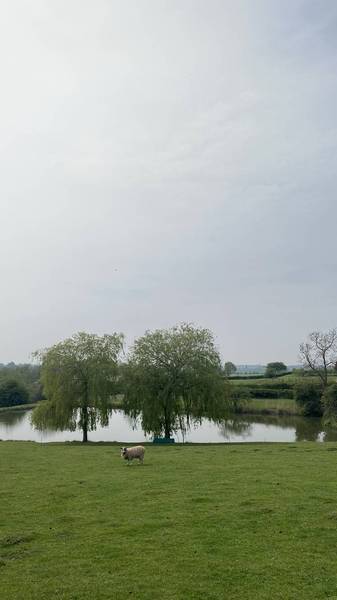 Preview of Medieval Warwickshire