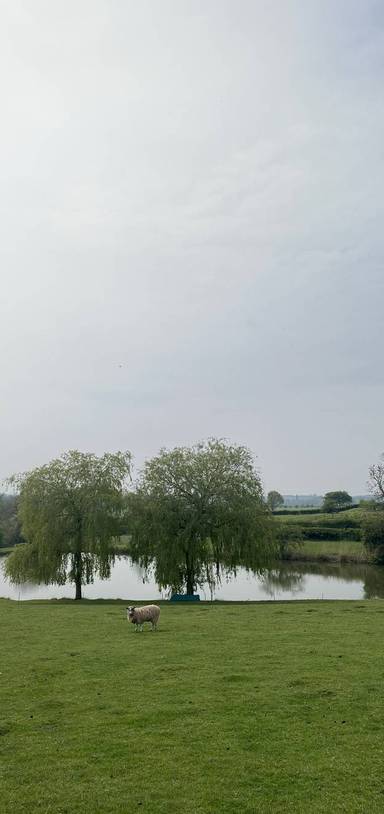 Preview of Medieval Warwickshire