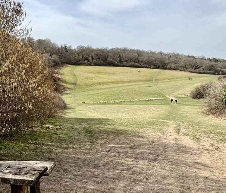 Preview of London Loop Section 5