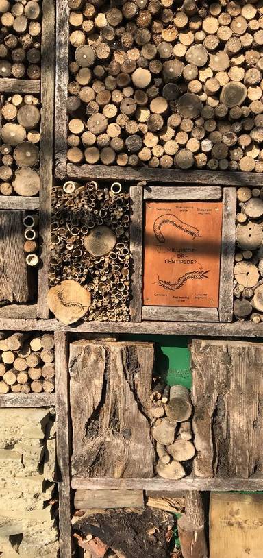 Preview of Railway Fields