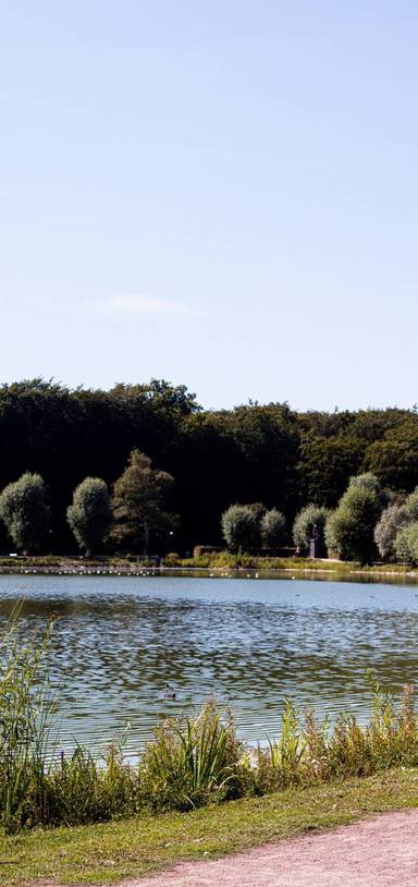 Preview of Historiska Pildammsparken i Malmö