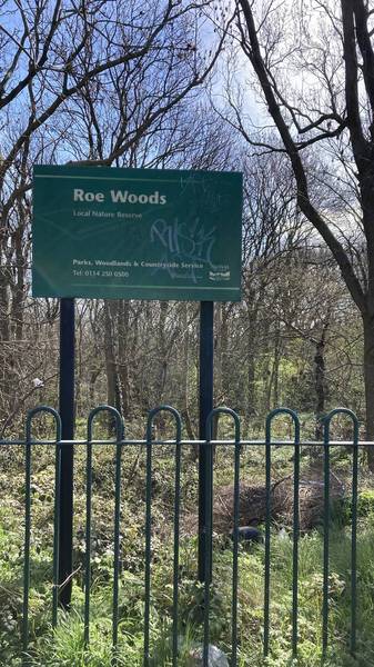 Preview of Short walk in Roe Woods (near NGH)