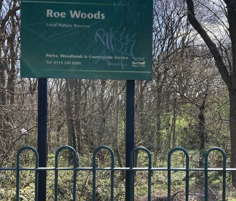 Preview of Short walk in Roe Woods (near NGH)