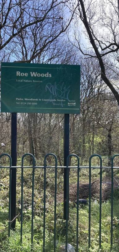 Preview of Short walk in Roe Woods (near NGH)