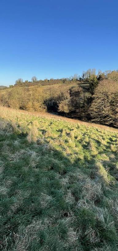Preview of Westfield Nature Dose