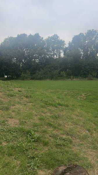 Preview of Netherton walk