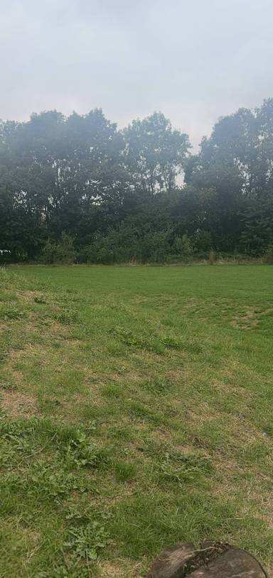 Preview of Netherton walk