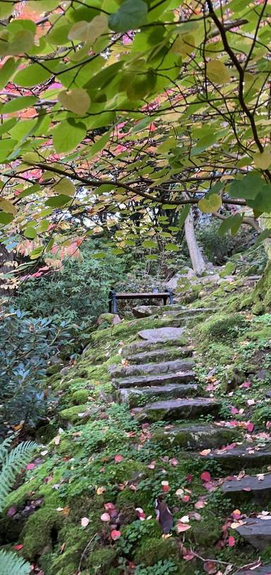 Preview of Änggården och botaniska