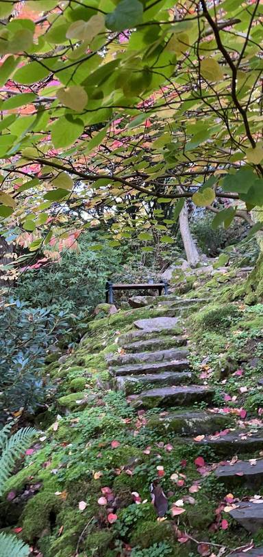 Preview of Änggården och botaniska 