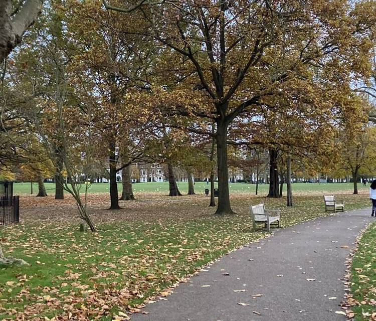 Preview of Lovely & Lively Kilburn Wander