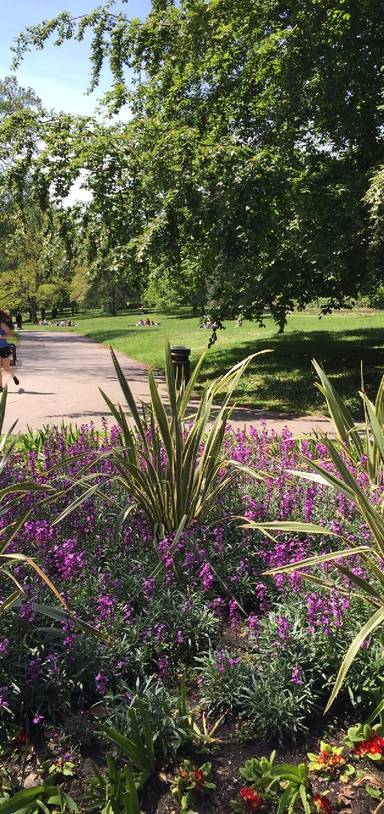 Preview of Parks and Plant Shops