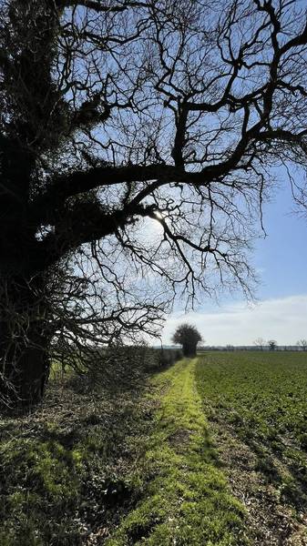 Preview of Jubilee Bridleway Circular