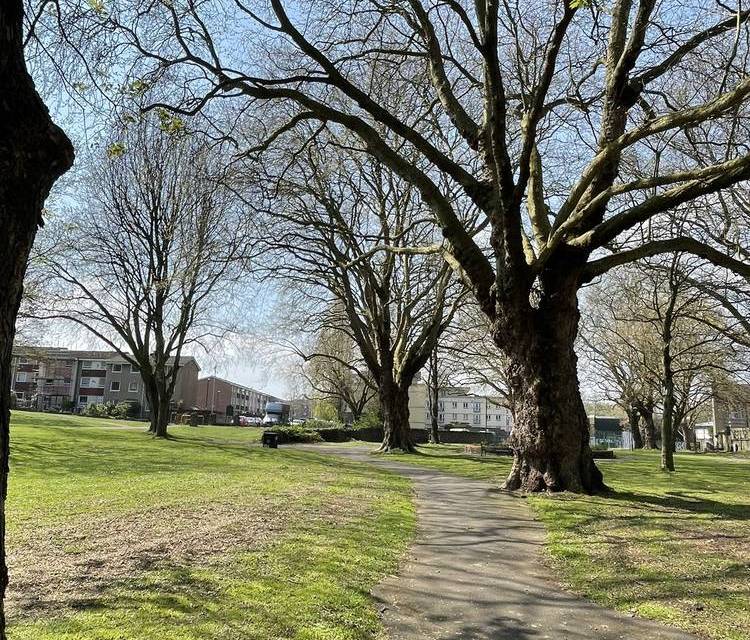 Preview of Barton Hill Green Space Explorer