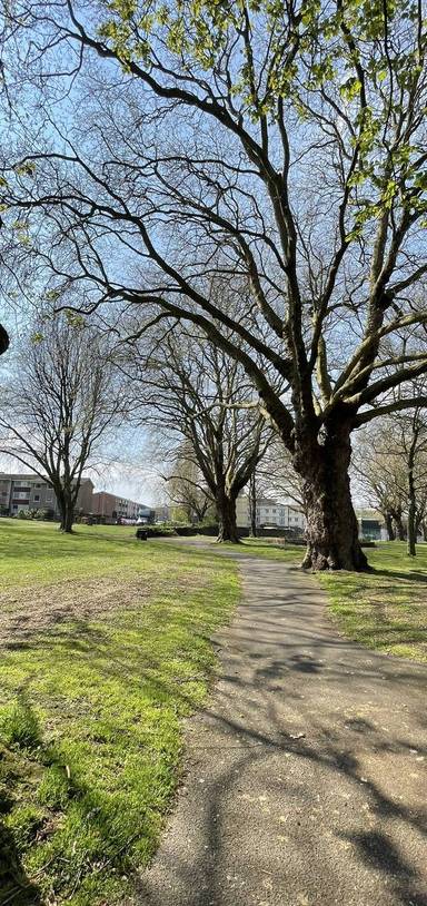 Preview of Barton Hill Green Space Explorer