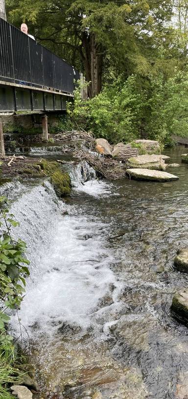 Preview of Kearnsey Abbey gardens 