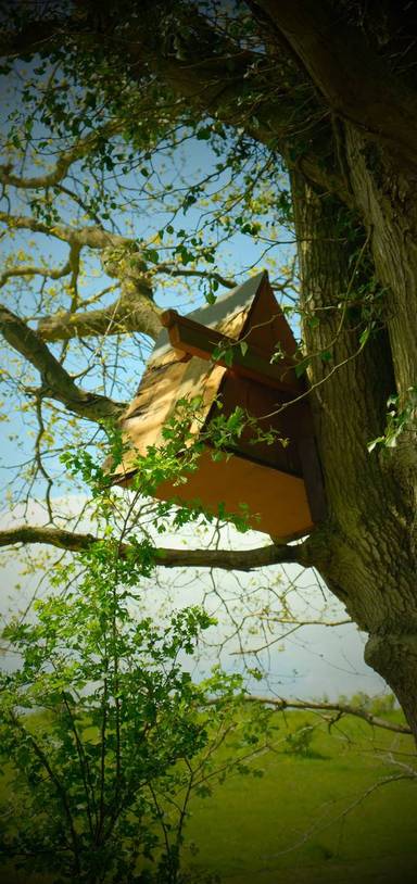 Preview of Colchester Orbital East B