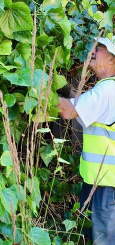 Preview of Re-wilding Transport for London