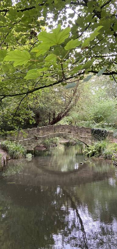 Preview of Meanwood Valley Trail Challenge