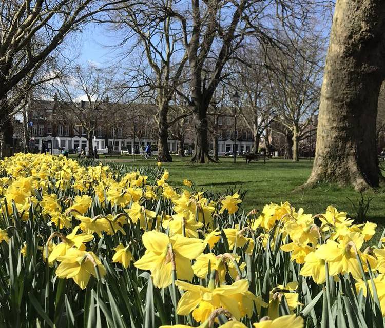Preview of TfL20 Fulham Amble